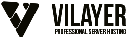 vilayer official logo black